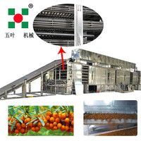 Machine de séchage à bande multicouche en continu automatique pour légumes/fruits/épices/herbes/carotte/citron/pomme/pêche/oignon/pomme de terre