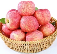 Vente chaude de Chine Pommes Gala fraîches biologiques/Pomme rouge/Pomme Fuji Prix