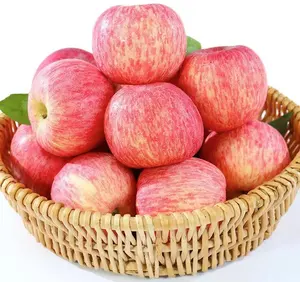 Hot Selling China Bio frische Gala Äpfel/roter Apfel/Fuji Apfel Preis