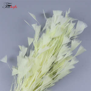 Piume di Tacchino Multicolore 25-30 CM per Decorazioni Fai-da-Te, Feste, Copricapi, Matrimoni - Product Image 6