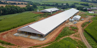 Casa de granja Prefabricada Granja avícola Edificio Proveedor directo Estructura de acero ligero Cobertizo para vacas