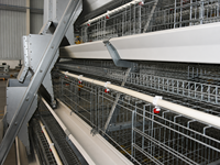 Nouvelle cage à poules à 3 niveaux en A, à alimentation automatique, grande capacité, gain de place, galvanisée à chaud, marque HAOKAI, best-seller
