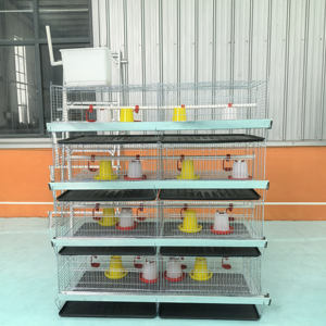 Vente en gros Couveuse galvanisée à 3/4 niveaux <span class=keywords><strong>Cage</strong></span> automatique système de <span class=keywords><strong>cage</strong></span> à batterie pour poulets <span class=keywords><strong>Cage</strong></span> pour bébés pour ferme avicole - Product Image 4