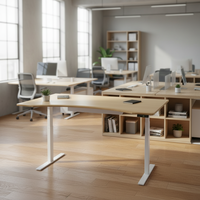 Plateau de bureau électrique Ecomax en bambou, réglable en hauteur, pour assis-debout, mobilier de bureau, usine
