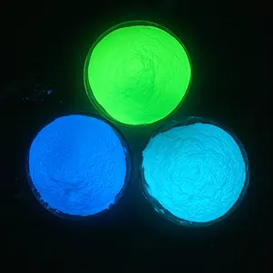 50g QUANTITÉ MINIMALE DE COMMANDE lumineux époxy poudres/pigment photoluminescent poudre poudre de lueur dans le foncé pour le marquage routier