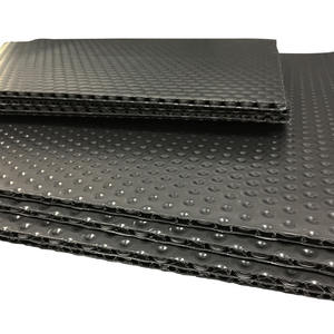 Piezas interiores automotrices calientes tablero <span class=keywords><strong>de</strong></span> panal <span class=keywords><strong>de</strong></span> PP, madera contrachapada <span class=keywords><strong>de</strong></span> plástico PP para <span class=keywords><strong>coche</strong></span> estándar Biz E1 - Product Image 4