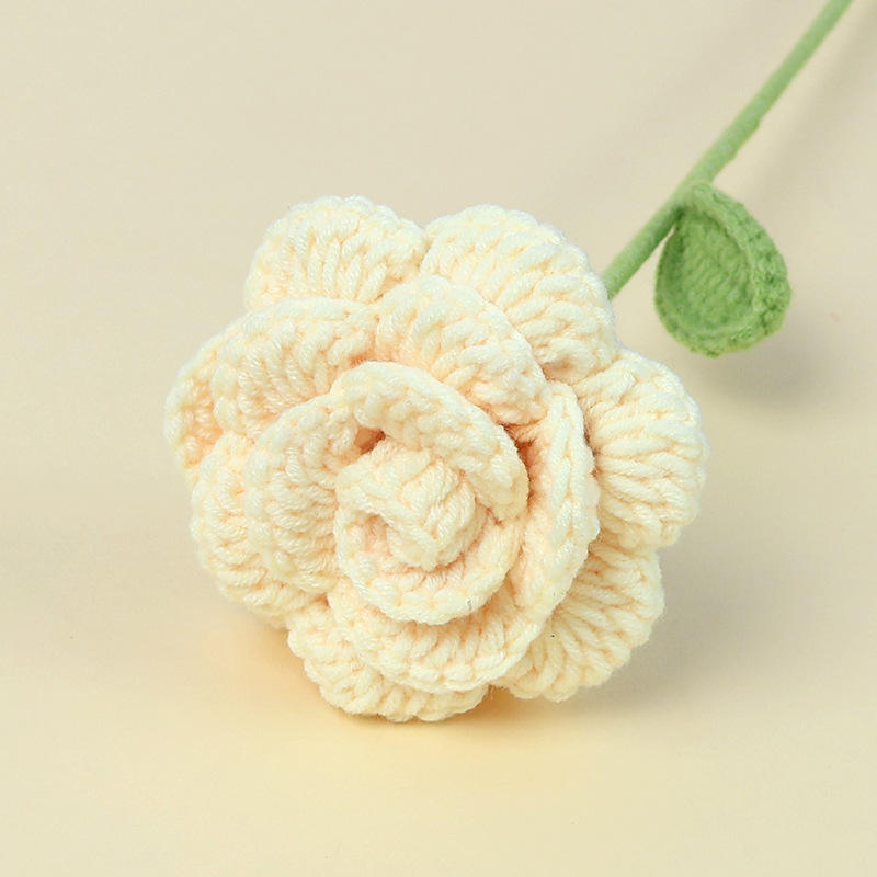 ม้วนกลับ-สาขาครีมกุหลาบ-สีเหลืองอ่อน