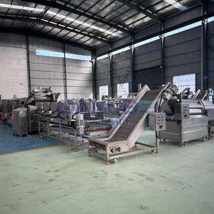 Línea de Producción de Papas Fritas Congeladas de Alta Productividad, Fabricante de Equipos para Freír Papas Fritas - Product Image 6