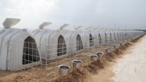 Maison de veau blanc Conception ronde personnalisable Clapier à veau en plastique de qualité alimentaire - Product Image 2