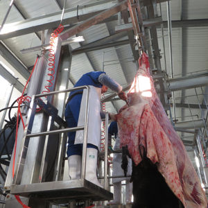 Equipo agrícola moderno, línea de apósito <span class=keywords><strong>para</strong></span> matadero de ganado vacuno, máquinas de matanza de vacas, núcleo de Motor, maquinaria agrícola de carnicero - Product Image 5