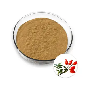 Extract Rose Rose Hip Powder / Rosehip Extract Powder/ Rose Hip Extract Powder