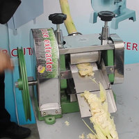 Presse-agrumes de canne à sucre professionnel le moins cher presse de canne à sucre largement utilisé Machine de moulin à jus de canne à sucre