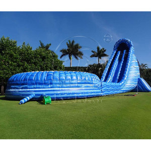 Bán Buôn Heavy-Duty PVC Lớp 66ft Thương Mại <span class=keywords><strong>Inflatable</strong></span> Trượt Nước Nhiệt đới Ngoài Trời Khổng Lồ Hồ Bơi <span class=keywords><strong>Slide</strong></span> Cho Khu Dân Cư - Product Image 4
