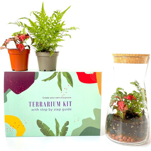 Gift Idea <strong>Terrarium</strong> Kit Office Decor Outdoor Decoration Vase American Style <strong>Plastic</strong> Plant Pot Murano Glass with Cork Lid Home - Product Image 2