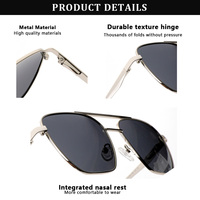 Lunettes de soleil polarisées UV400 Sunray personnalisées avec logo, nouvelle collection, double pont, pour hommes et femmes, vente en gros