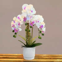 Meilleures ventes : Fleur d'orchidée papillon artificielle 3D à toucher réel avec pot, décoration de bureau et de maison, Saint-Valentin