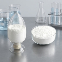 Zirconia de Alta Pureza, Nano Zirconia para Soporte de Catalizadores/Cerámica Dental/Recubrimiento de Barrera Térmica
