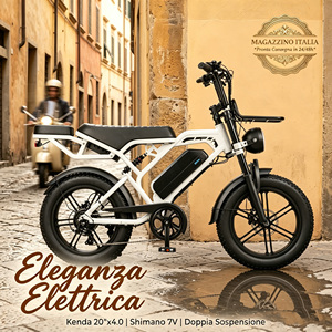 QMHEEL V20 Pro 20x4.0 Fat Bike Electric Bike Bici Elettrica Fat Bike Elettrica Italy EU Warehouse B2B Wholesale Supplier Factory - Product Image 1