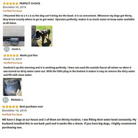 Stainless Pet Animal Automatic Water Feeder with Pipe Horse Goat Dog Cattle Sheep Water Bowl for Livestock