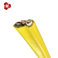 Cable Eléctrico NM-B 12/2 UL719 para Instalación en Interiores de Edificios