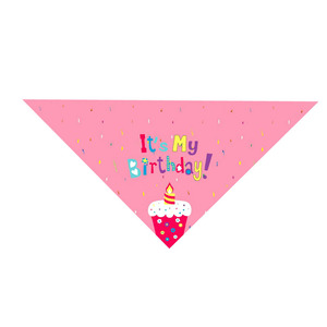 Conjunto de sombrero y pañuelo para cumpleaños de perro con lazo, accesorios de fiesta para mascotas - Product Image 3