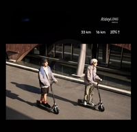 Magnesiumlegierungsrahmen Commuter 800W Maximalleistung Tragbarer E-Scooter 32km/h 36V Faltbarer Elektroroller Segway Ninebot E3 Pro