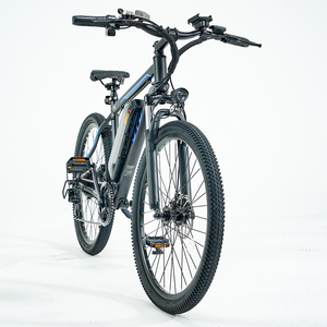 OTD DS1 điện bụi bẩn núi e-xe đạp chúng tôi cổ 500W động cơ điện với pin lithium điện chu kỳ xe đạp Bicicleta electrica - Product Image 5