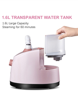 Haute qualité avec Offre Spéciale Portable 2000W vapeur fer professionnel Vertical vêtements debout vêtement vapeur pour vêtements