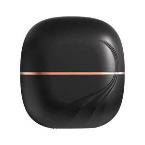 Mini Plancha de Pelo Inalámbrica Portátil para el Hogar, NUEVA, con Función Antiestática de Iones Negativos, Cepillo de Nailon Ideal para Viajes - Product Image 1