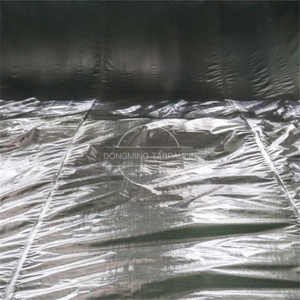 Approvisionnement d'usine PE Bâche 100% Étanche Haute Qualité Camion Couverture Cargo Couverture en Afrique <span class=keywords><strong>Bache</strong></span> Bâche 200 gsm bâche - Product Image 5
