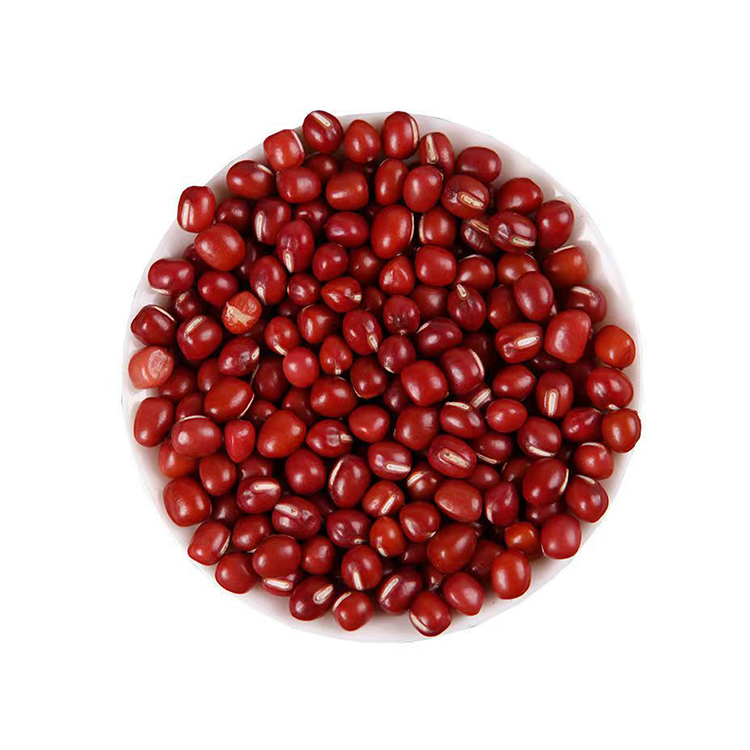 china manufacture quality wholesale hard red kidney beans