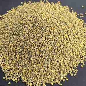Gránulos de Polen de Abeja 100% Naturales de Alta Calidad, Polen Puro Mixto, Materia Prima de Polen de Abeja, Polen de Miel Fresco Puro - Product Image 1