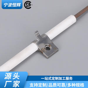 Aguja de Encendido para Estufa de Gas Infrarroja 1195448, Sensor de Llama de 90 Grados, Acero Inoxidable, Accesorio Universal Integrado - Product Image 5