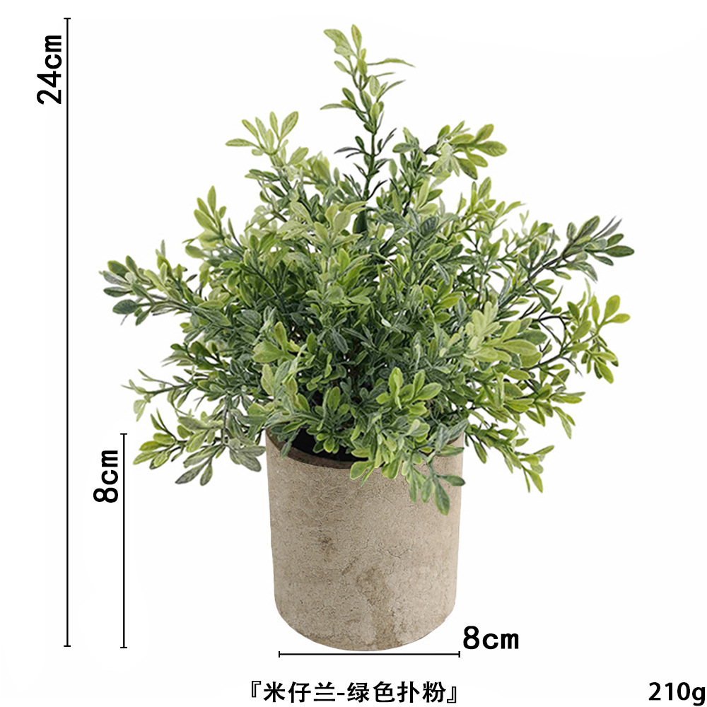 Poudre de Milan ahe371-066