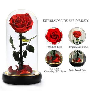 Rosas Eternas al por Mayor, Rosa Preservada de 7cm con Luz LED, Domo de Cristal, Regalo Ecológico para el Día de la Madre - Product Image 3