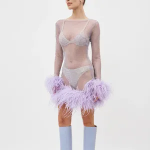 Custom 2023 New Arrival Long Sleeve Sheer Ostrich Feather Trim Crystal Fishnet Dress