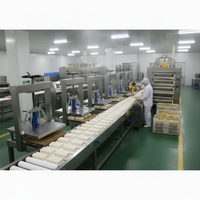 Presse à tofu semi-automatique, ligne de production de tofu sec, machine à fabriquer du tofu, machine à presser le tofu, ligne de production de tofu