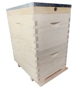 Equipo de apicultura, colmena doble, profundidad completa