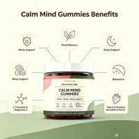 Gummies Fraise Esprit & Corps les plus vendues, pour le soulagement quotidien du stress, l'équilibre de l'humeur, la concentration cognitive et la relaxation nocturne, 60 OEM