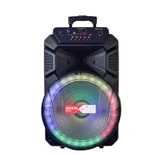 RTS 15 Inci BT Profesional Caixa De Som, Panggung Besar Ganda Luar Ruangan Karaoke Portabel Speaker Troli dengan Layar Led Mic Nirkabel