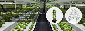 40 HQ New Home Hydroponic Equipment Plant Factory Container Farm avec pompe pour l'agriculture urbaine et l'agriculture de jardin - Product Image 3