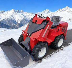 CE/EPA roda kualitas tinggi selip pengangkut dengan aksesori gratis rumah pertanian taman rumah menggunakan roda kecil kompak melewati muatan - Product Image 3