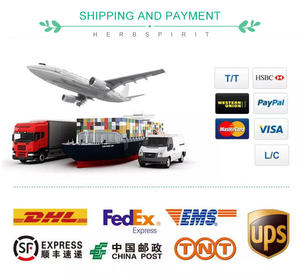 Vente en gros de poudre de jus d'herbe de blé biologique Extrait de poudre de germe d'<span class=keywords><strong>orge</strong></span> 10:1 Poudre de jus d'herbe d'<span class=keywords><strong>orge</strong></span> - Product Image 6