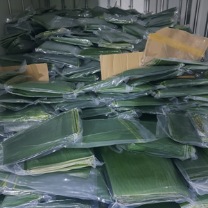 Hoja de Plátano Congelada de Vietnam Ideal para Envolver Alimentos, Cocinar, Cocinar al Vapor, Barbacoa, Uso Culinario Gourmet - Product Image 1