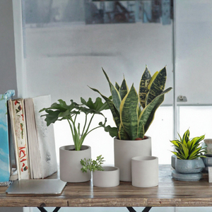 Pot rond en ciment pour plantes succulentes avec trou de drainage, gris clair, pour la maison, le jardin, l'hôtel - Product Image 3
