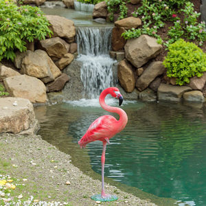 Büyük pembe Flamingo bahçe heykeli yaşam boyutu açık reçine kuşlar süs Yard sanat ev veranda köy dekor zarif heykelleri - Product Image 5