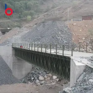 Desempenho De Custo Para Guindaste De Pórtico De Alta Resistência Estrutura De Aço Ponte Pedonal Truss Bailey Bridge