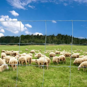 Factory Direct Sale Yuking Brand Low Carbon Steel Galvanized <b>Crimped</b> Wire Farm Fence for Deer and Sheep with Customizable Gauge - Product Image 4