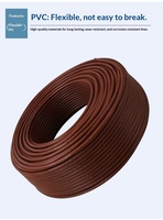 Cable de Red Ethernet Personalizado Cat6 Marrón, Cobre Libre de Oxígeno, Estándar Nacional, Cuatro Pares UTP, 100m, PVC FTP