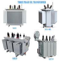 Transformador de Distribución para Exteriores de Primera Calidad, 11kv, 800kva, 50/60hz, Monofásico/Trifásico, Sumergido en Aceite, para Obras de Construcción
